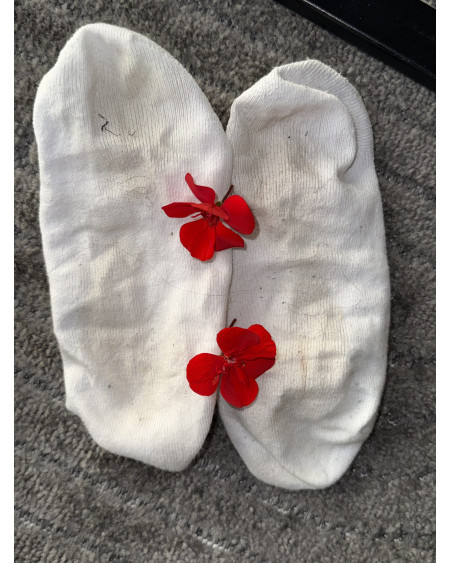 „Weiße Socken mit rotem Blütendetail