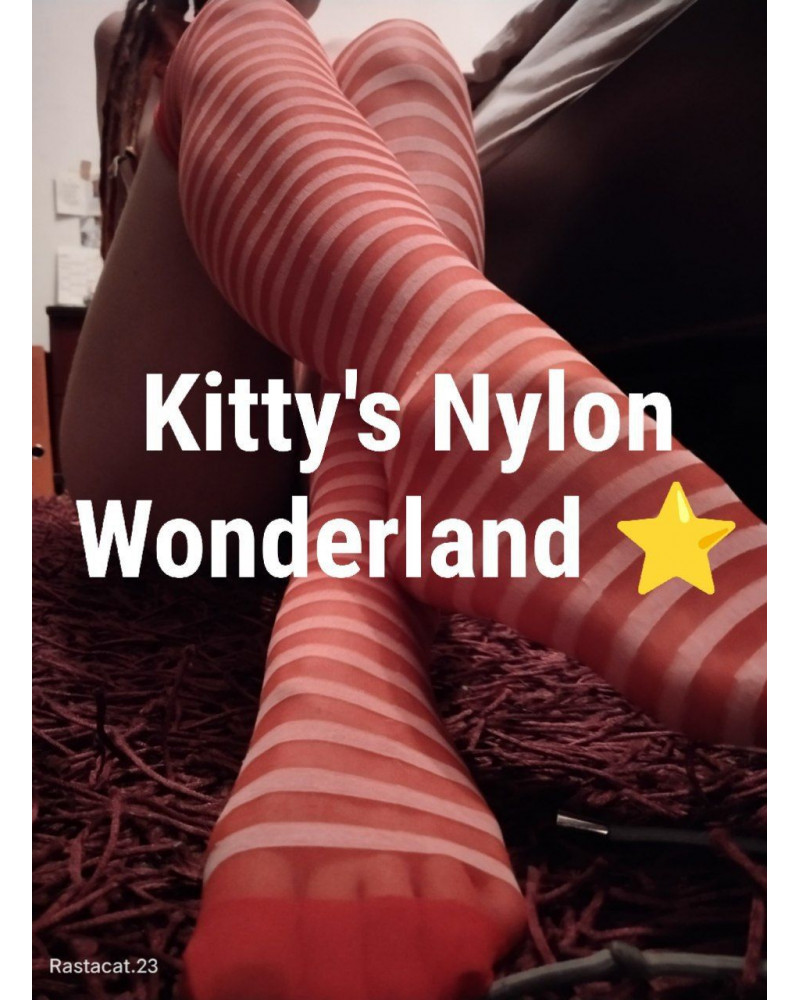 Kitty's Nylon Wonderland