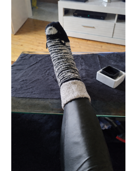 Socken suchen Schnüffler