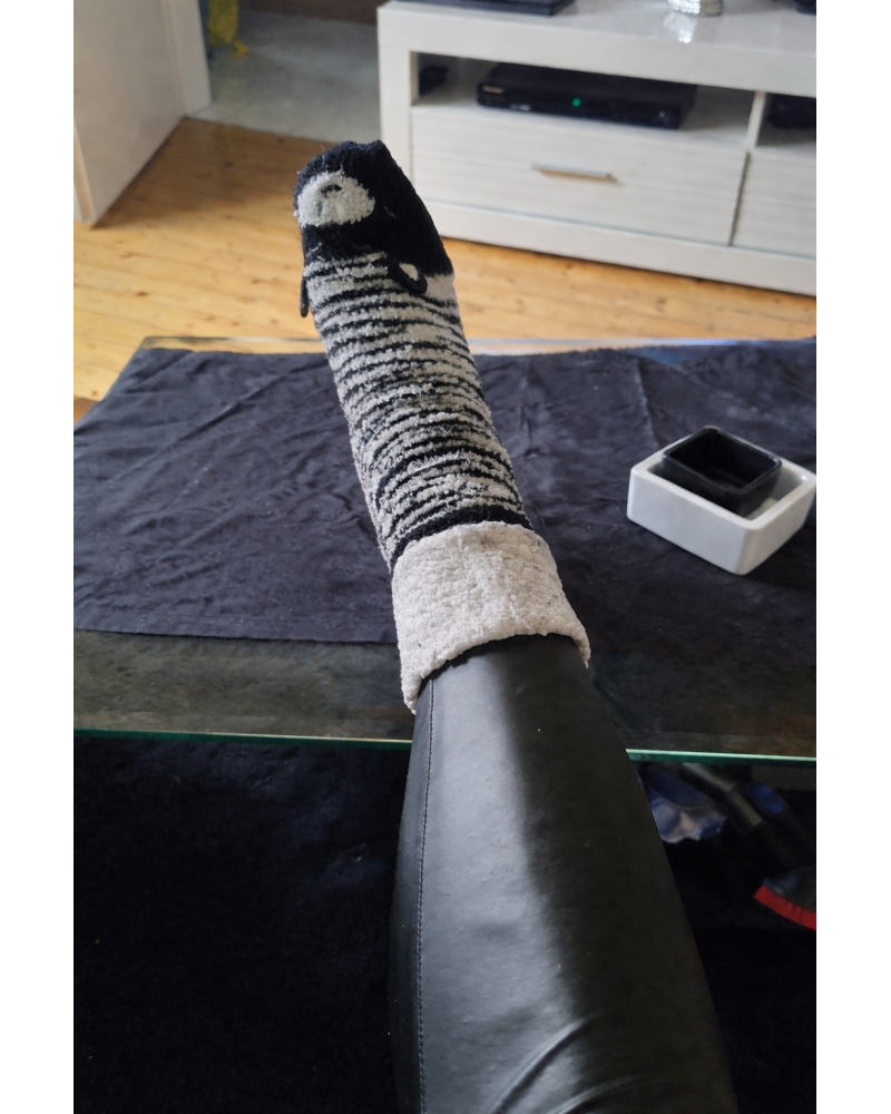 Socken suchen Schnüffler