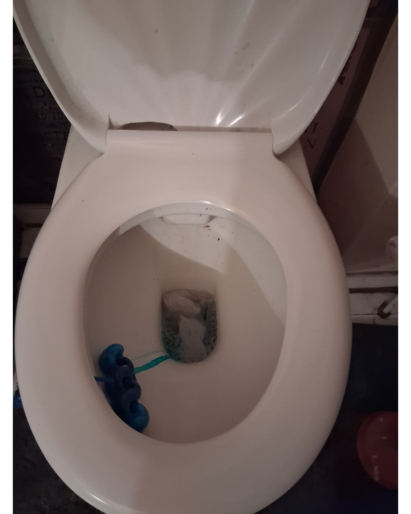 Toilettenspülung defekt - Stuhlgang lässt sich nicht wegspülen