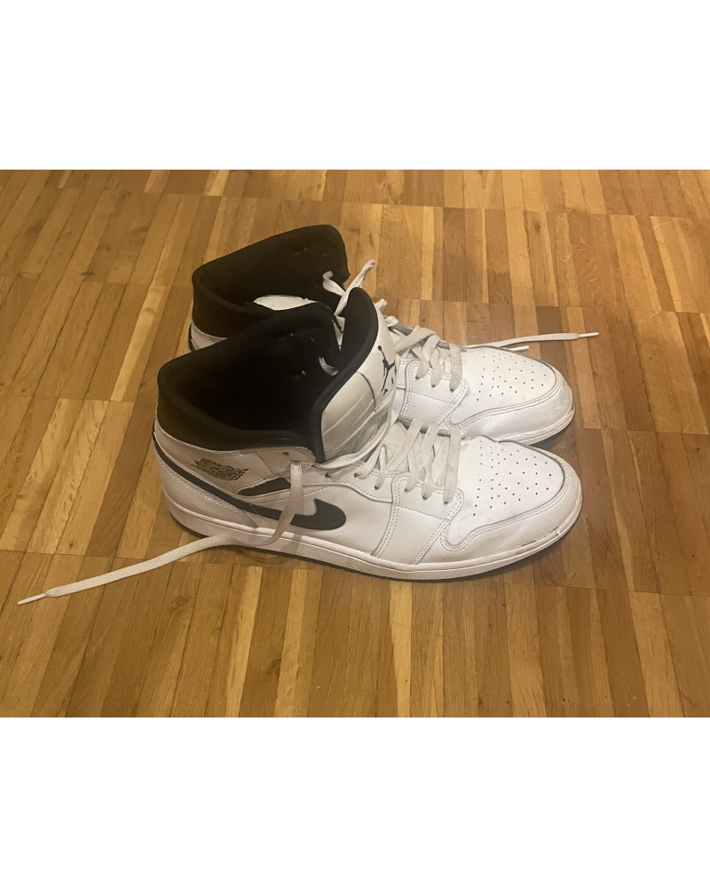 Air Jordan 1s, Size 47