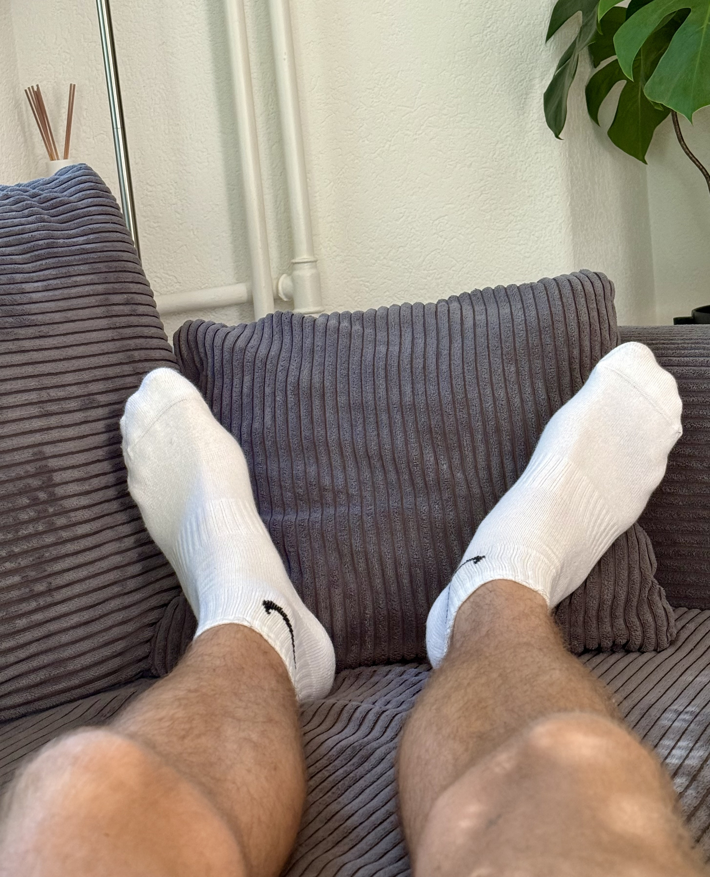 BigSocks