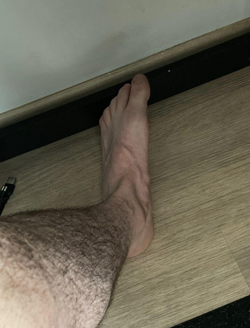 Hairyfitarab